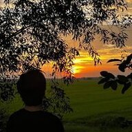 võ tòng đánh bóng