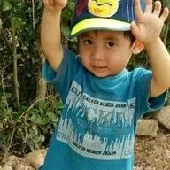 heo ngu