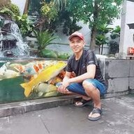 dangminhtinh