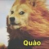 trùm bet